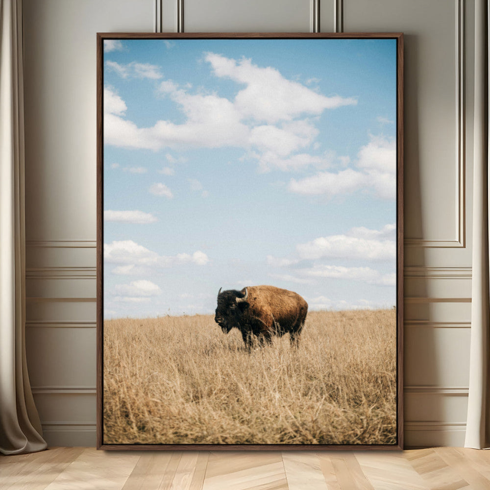 Bison Photography Wall Art Canvas Print – Framed Western
