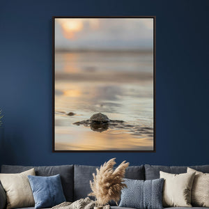 Sea Turtle Hatchling Wall Art Canvas Print – Soft Coastal