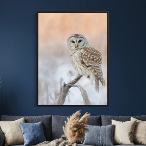 Barred Owl Wall Art Canvas Print – Soft Neutral Wildlife
