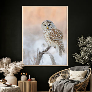 Barred Owl Wall Art Canvas Print – Soft Neutral Wildlife