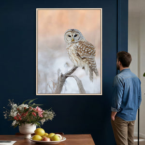 Barred Owl Wall Art Canvas Print – Soft Neutral Wildlife