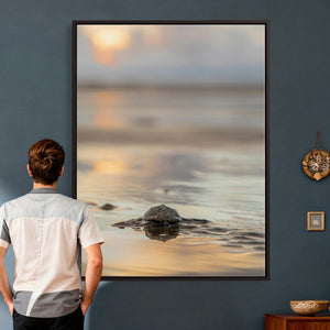 Sea Turtle Hatchling Wall Art Canvas Print – Soft Coastal