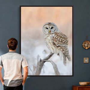 Barred Owl Wall Art Canvas Print – Soft Neutral Wildlife