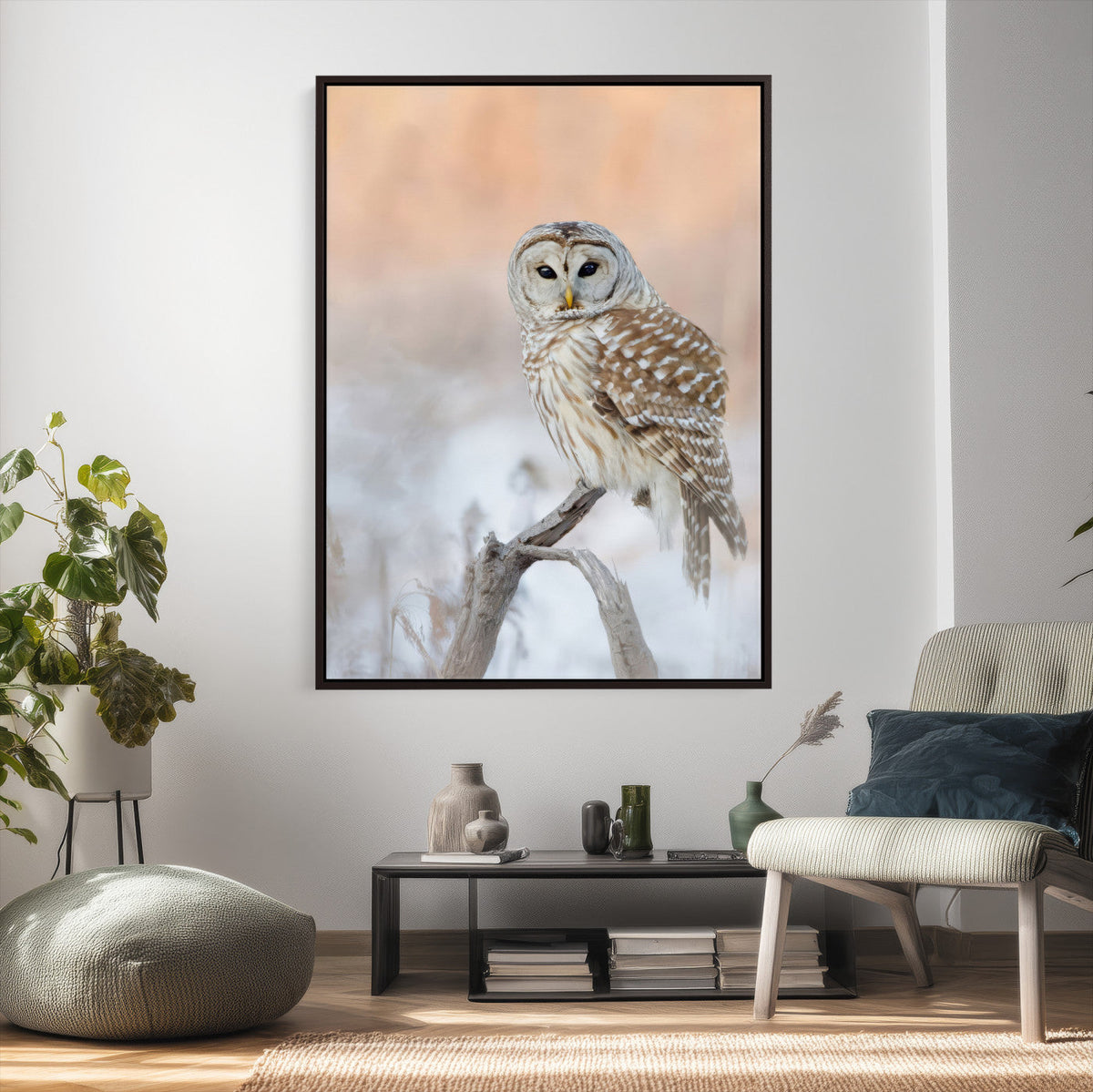 Barred Owl Wall Art Canvas Print – Soft Neutral Wildlife