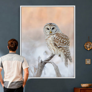 Barred Owl Wall Art Canvas Print – Soft Neutral Wildlife