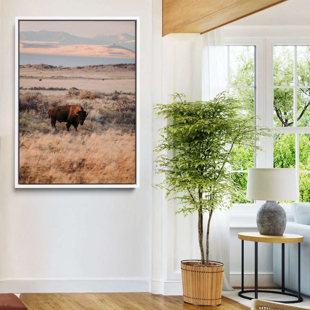 Solitary Buffalo Wall Art Canvas Print – Framed Golden