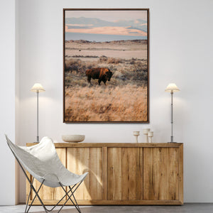 Solitary Buffalo Wall Art Canvas Print – Framed Golden