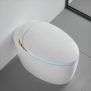 Unique Smart Toilet with Built-in Bidet