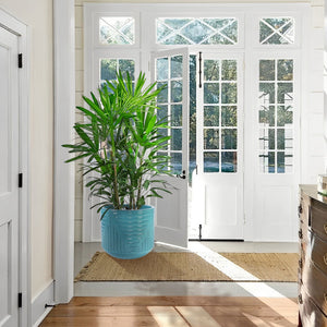 Versatile Flowerpot Planter for Patio, Garden, Windowsill