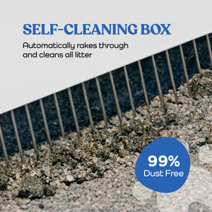 Smart Cat Litter Box with Wide Opening