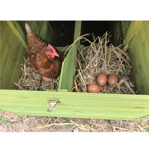 70" Large Wooden Chicken Coop with Nesting Boxes and Waterproof Roof - Green or Brick Red