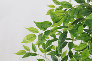 7FT Tall Artificial Banyan Tree with Natural Trunk and Realistic Silk Leaves