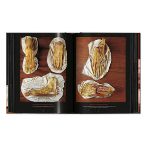 Anatomical Waxes. 45th Ed. (German, French, English)