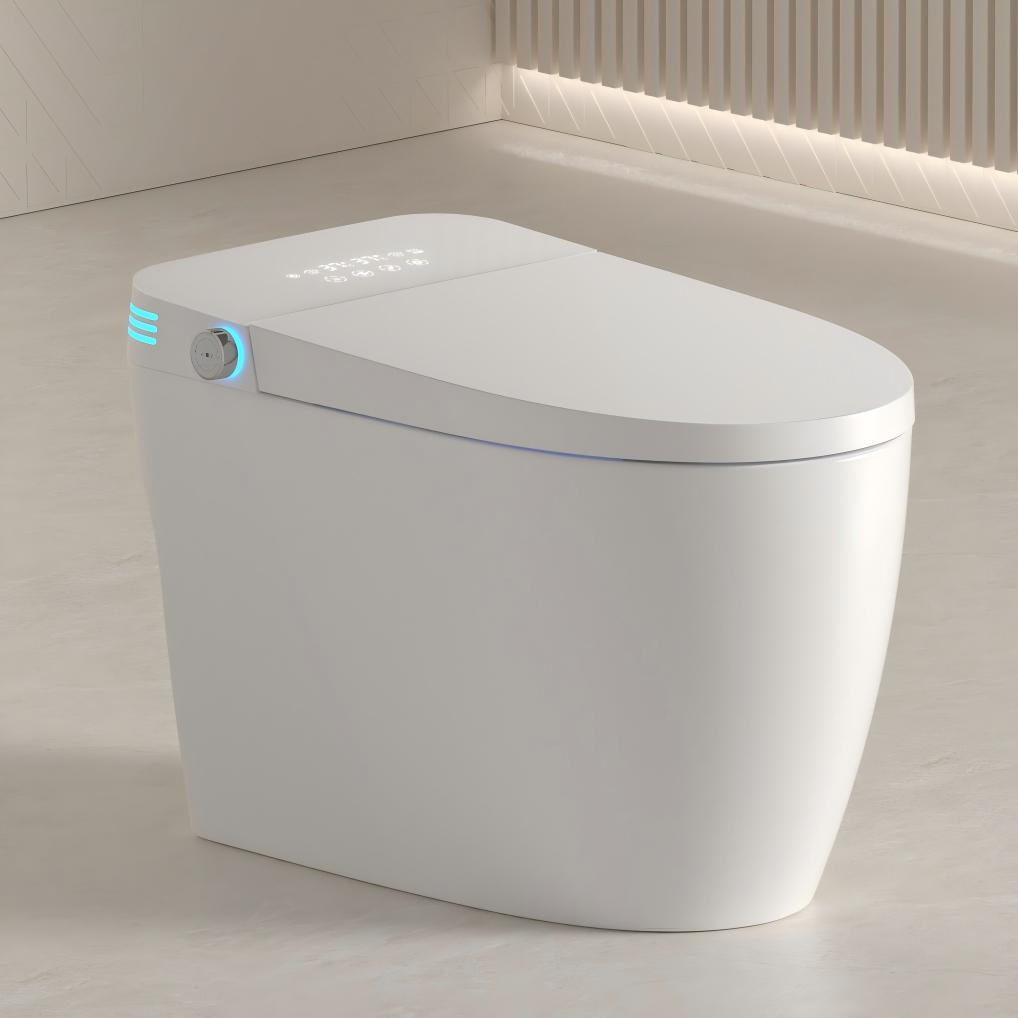 Tankless Smart Toilet With Bidet Built In
