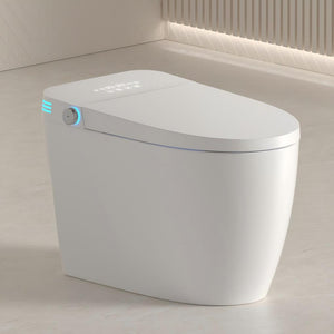 Tankless Smart Toilet With Bidet Built In