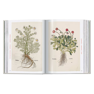 Leonhart Fuchs. The New Herbal (German, French, English)