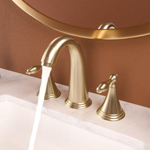 Elegant 2 Handle Widespread Bathroom Faucet With Pop Up Drain And Water Supply Lines