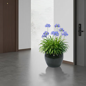 3 Pieces Ceramic Flowerpot Planter for Patio, Garden or Windowsills