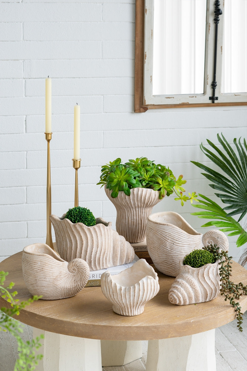 11.5x6.7x7.7 Sand and Cement Nautilus Shell Planter with Textured Beige Finish