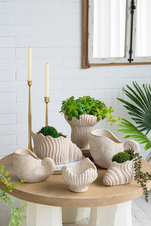 11.5x6.7x7.7 Sand and Cement Nautilus Shell Planter with Textured Beige Finish