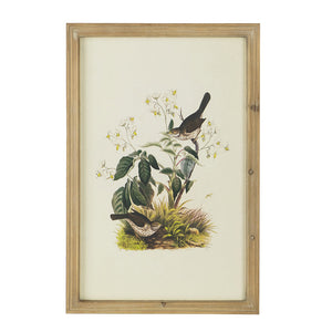Set of 4 Bird Framed Prints