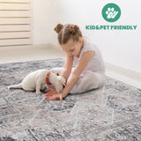 NAAR PAYAS Traditional Non-Shedding and Stain Resistant Area Rug