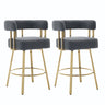 Decorative Upholstered Side Chair For Living Room (Set of 2)