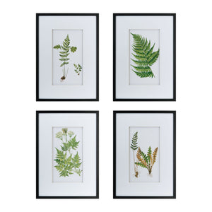 Botanical And Fern Wall Art, Wall Decor For Living Room Dining Room Entryway (Set of 4) - White / Black