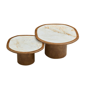 Irregular Coffee Table Set - 2pcs Burl Wood Veneer