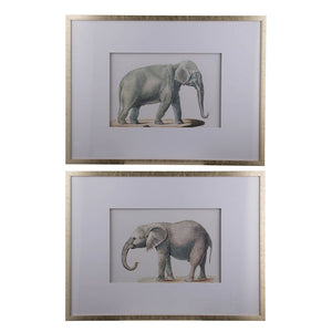 23.6x31.5" Fake Elephant Pencil Drawings, Set of 2