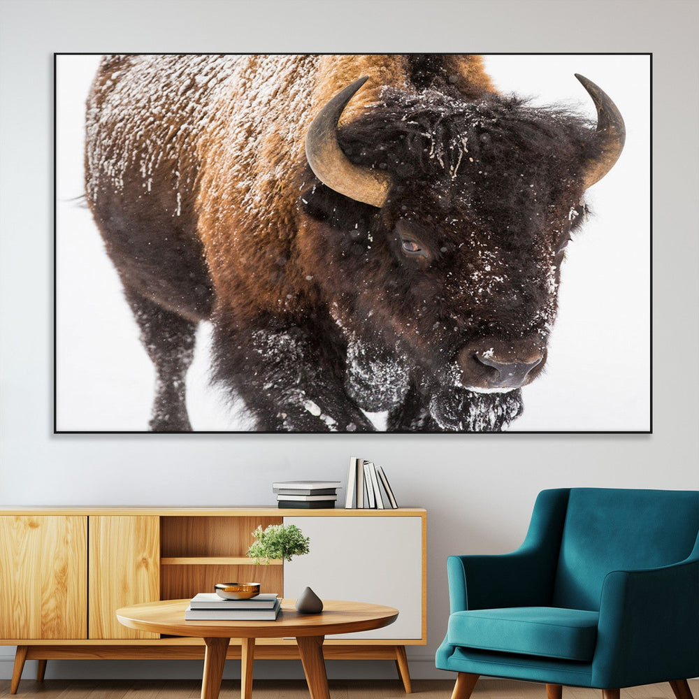 Bison Wall Art Canvas Print For Farmhouse, Wild Animal Wall