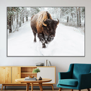 Bison Wall Art Canvas Print For Farmhouse, Animal Canvas