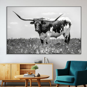 Texas Black White Highland Longhorn Cow Wall Art Canvas
