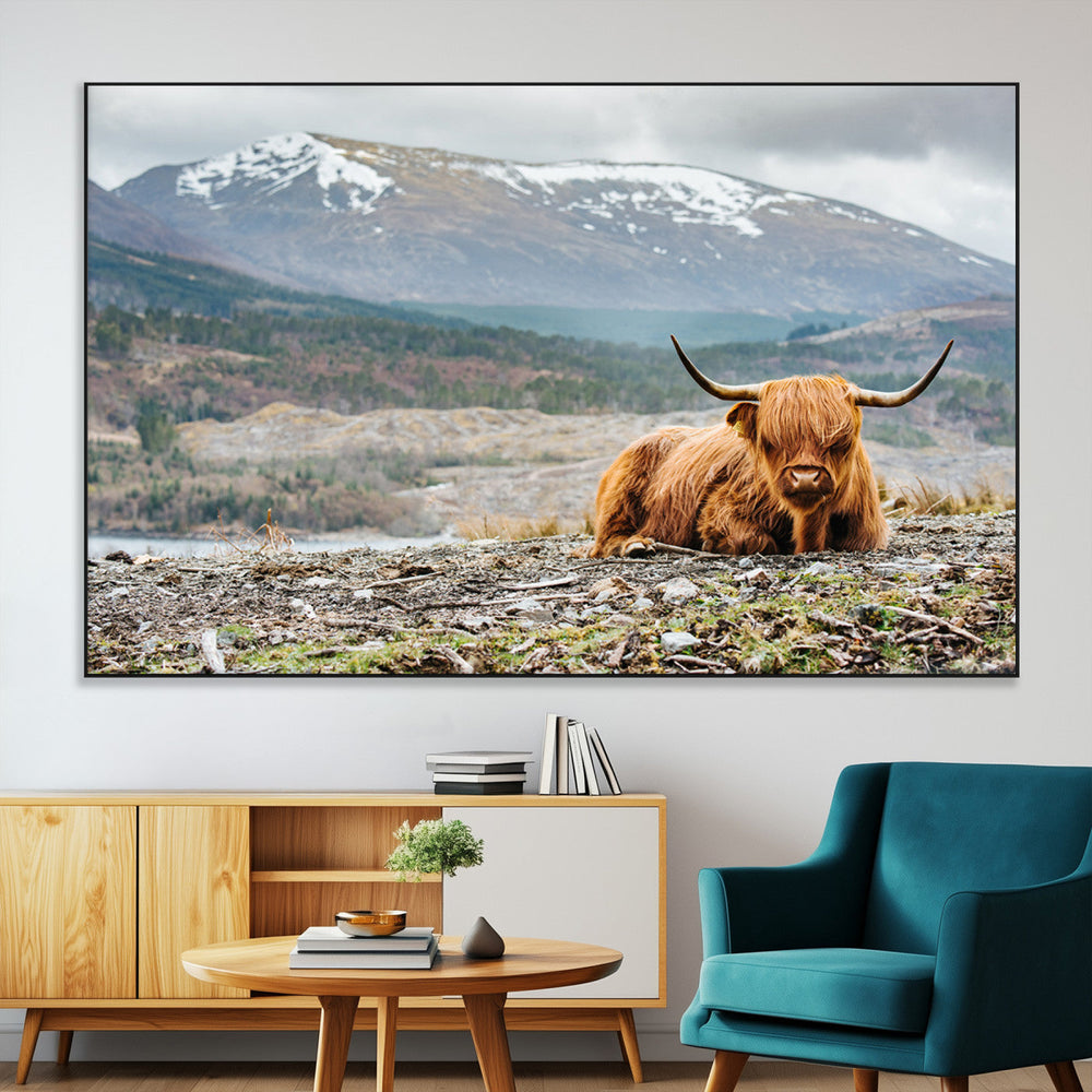 Highland Cow Horn Farm Wall Art Canvas Print
