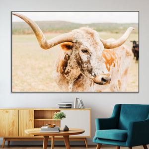 Texas Longhorn Wall Art Canvas Print – Framed Spotted Cow