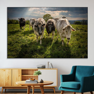 Grazing Cattle Herd Pasture Green Field Livestock Natural