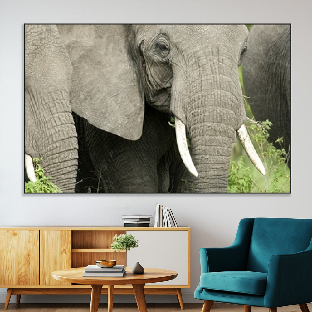Wild Elephant Wall Art Canvas Print