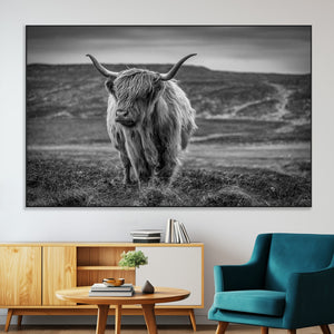 Fluffy Cattle Wall Art Print, Highland Cow Canvas, Framed
