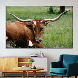 Longhorn Cow Animal Wall Art Canvas Print