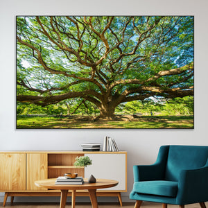 Majestic Oak Tree Wall Art – Serene Nature Canvas Print with