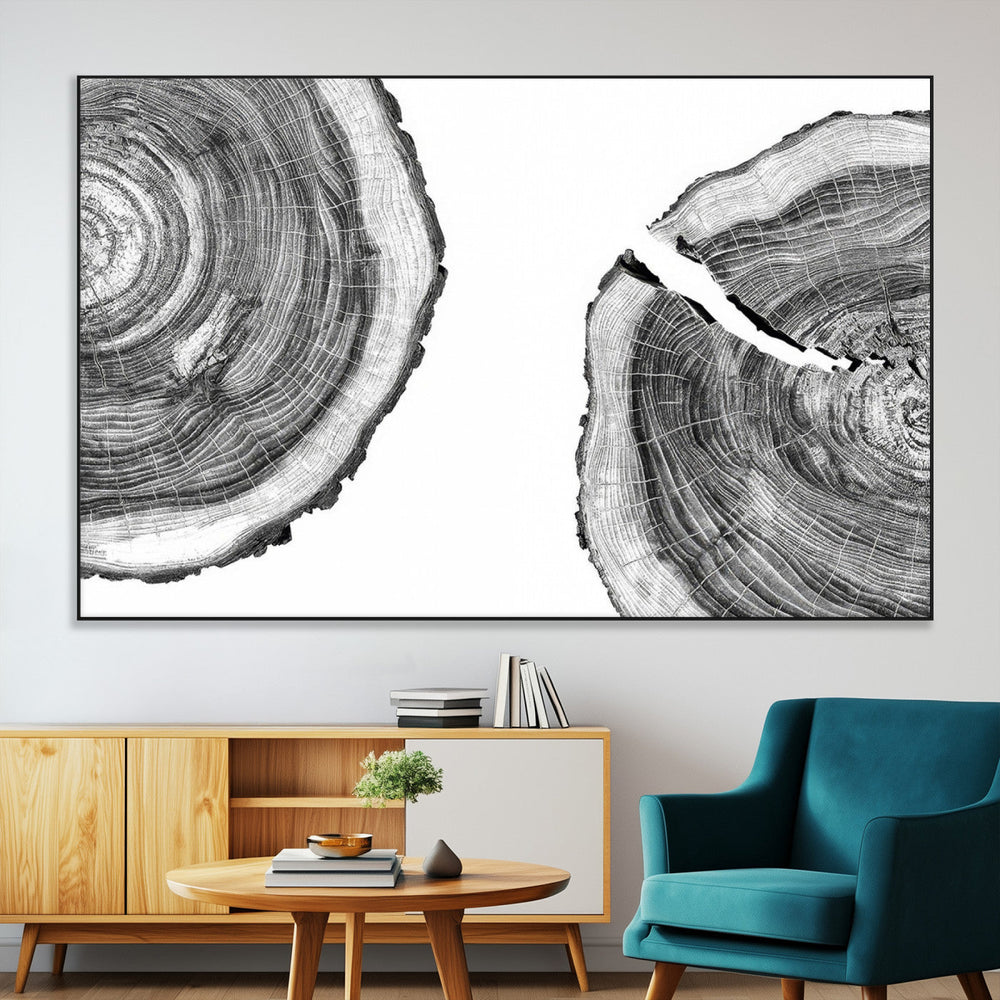 Abstract Large Tree Rings – Minimalist Black and White Wood