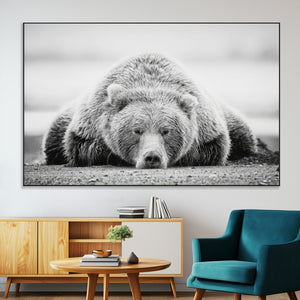Resting Grizzly Bear Wall Art Canvas Print – Majestic Lazy
