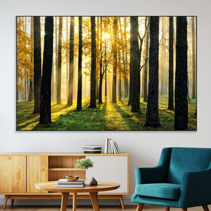 Sunlit Forest Wall Art Canvas Print – Large Framed Woodland