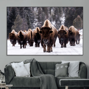 Bison Wall Art Canvas Print- Bison Herd Canvas Wall Art –
