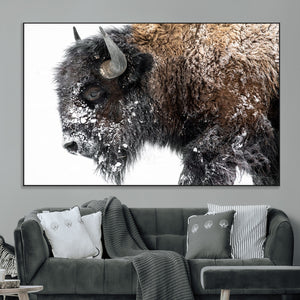 American Bison Wall Art Print – Majestic Buffalo Canvas