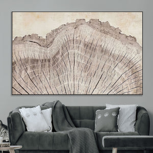 Tree Ring Wall Art Triptych, Rustic Wood Ring Canvas Print,