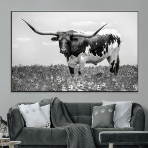Texas Black White Highland Longhorn Cow Wall Art Canvas