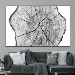 Rustic Tree Ring Wall Art Canvas Print – Framed and Ready to