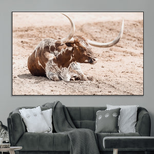 Texas Longhorn Wall Art Canvas Print – Framed Resting Bull