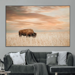 MyCanvas -